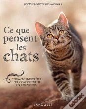 Capa do artigo Ce Que Pensent Les Chats