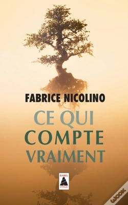 Capa do artigo Ce Qui Compte Vraiment