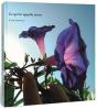 Ce Qu'On Appelle Aimer - Preview