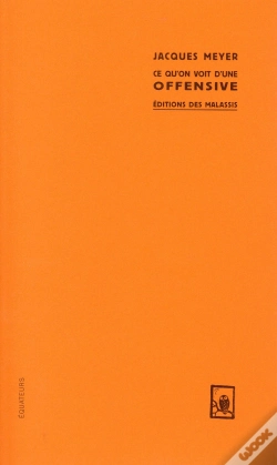 Capa do artigo Ce Qu'On Voit D'Une Offensive