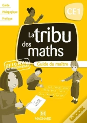 Ce1 ; Guide Du Maitre (Edition 2010)