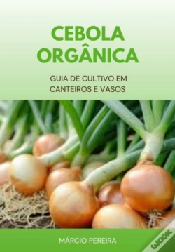 Capa do artigo Cebola Orgânica