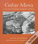 Cedar Mesa