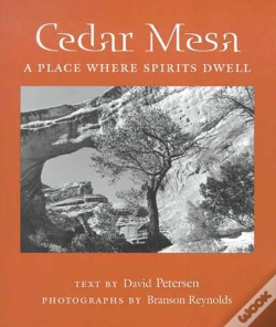 Capa do artigo Cedar Mesa