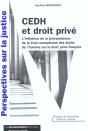 Cedh Et Droit Prive ; L'Influence De La Jurisprudence De La Cour Des Droits De L'Homme Sur Le Droit Prive Francais - Preview