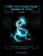 Ceh V10 Certified Ethical Hacker Actual Practice Exams & Dumps - Preview