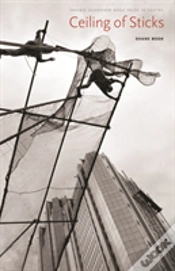 Capa do artigo Ceiling Of Sticks