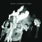 Celebrity Skin - Vinil - Preview