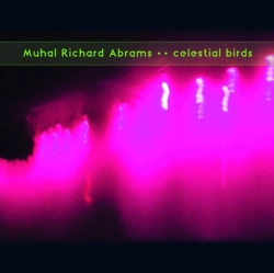 Capa do artigo Celestial Birds - Vinil