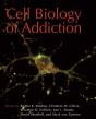 Cell Biology Of Addiction - Preview