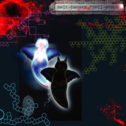 Capa do artigo Cell-scape - Vinil
