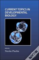 Cell Shape And Position During Development