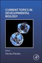 Cell Shape And Position During Development - Preview