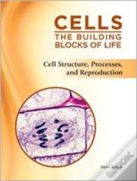 Cell Structure, Processes, And Reproduction