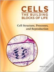 Capa do artigo Cell Structure, Processes, And Reproduction