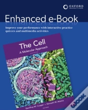 Capa do artigo Cell Xe