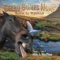 Cello Comes Home - Preview