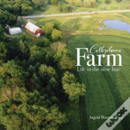 Cellophane Farm