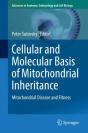 Cellular And Molecular Basis Of Mitochondrial Inheritance - Preview
