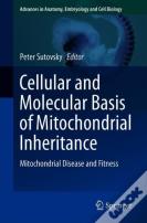 Cellular And Molecular Basis Of Mitochondrial Inheritance