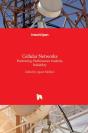 Cellular Networks - Preview