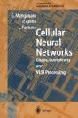 Cellular Neural Networks - Preview
