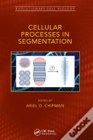 Cellular Processes In Segmentation