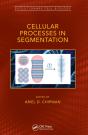 Cellular Processes In Segmentation - Preview