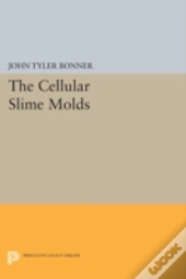 Cellular Slime Molds