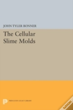 Capa do artigo Cellular Slime Molds