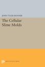 Cellular Slime Molds - Preview