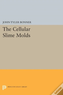 Capa do artigo Cellular Slime Molds
