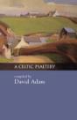 CELTIC PSALTERY - Preview