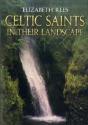 Celtic Saints In Their Landscape - Preview