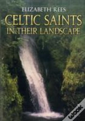Capa do artigo Celtic Saints In Their Landscape
