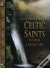 Celtic Saints In Their Landscape