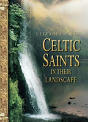 Celtic Saints In Their Landscape - Preview
