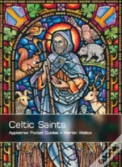 Capa do artigo Celtic Saints