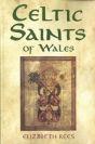 Celtic Saints Of Wales - Preview