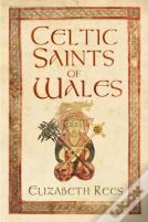 Celtic Saints Of Wales