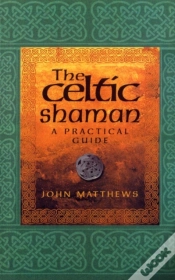 Capa do artigo Celtic Shaman