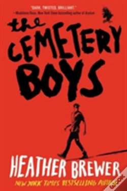 Capa do artigo Cemetery Boys Pb