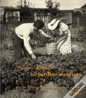 Capa do artigo Cent Ans D