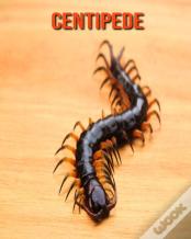 Centipede