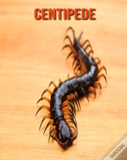 Capa do artigo Centipede