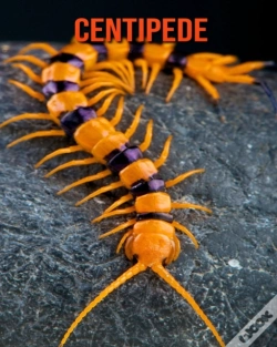 Capa do artigo Centipede
