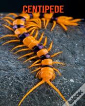 Centipede