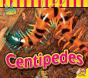 Centipedes - Preview