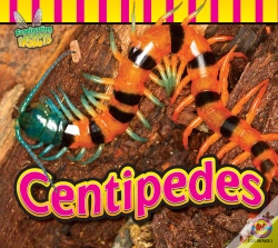 Capa do artigo Centipedes