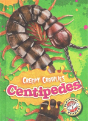 Centipedes - Preview